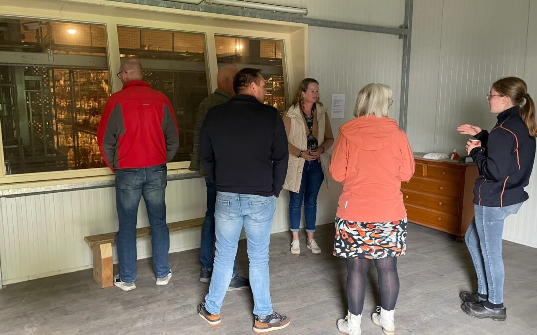 Zaterdag 11 oktober: Wereld Ei Dag